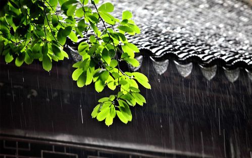 梅雨季校服定制穿着困扰与解决方案 梅雨季校服定制穿着困扰与解决方案